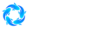 开云app网站
